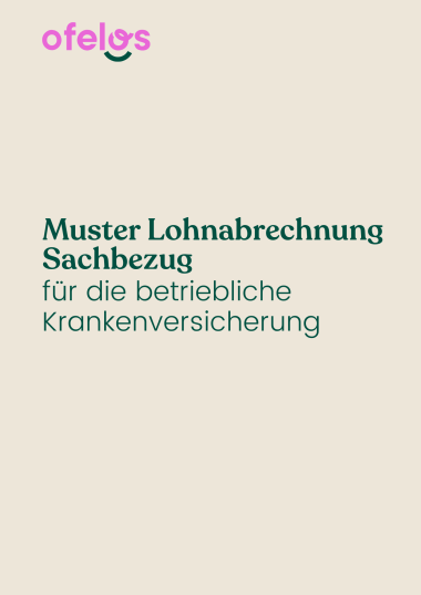 Muster Lohnabrechnung Sachbezug Cover