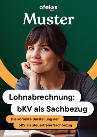 cover-muster-lohnabrechnung-bkv-als-sachbezug.png