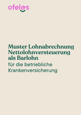 Muster Lohnabrechnung Nettolohnversteuerung Cover