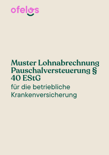 Muster Lohnabrechnung Pauschalversteuerung Cover